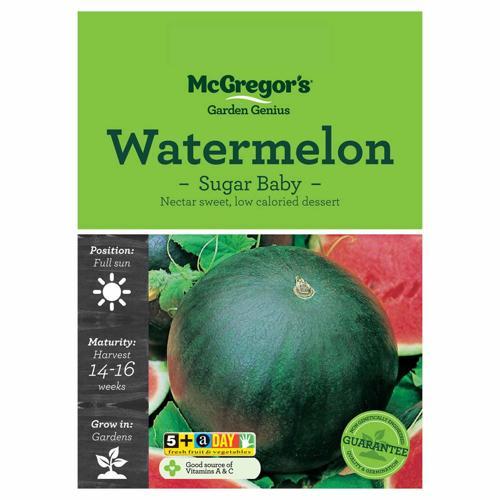 Sugar Baby Watermelon Seeds - McGregor's