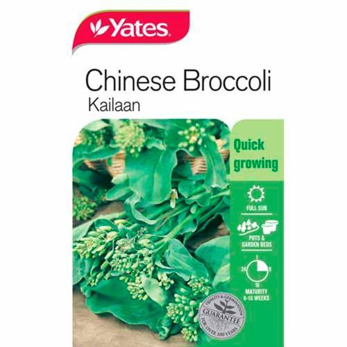Gai Lan (Chinese Broccoli) Seeds - Yates