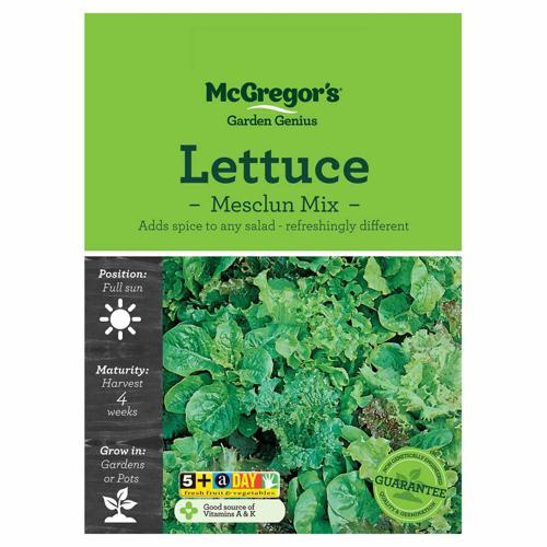 Mesclun Mix Seeds - McGregor's