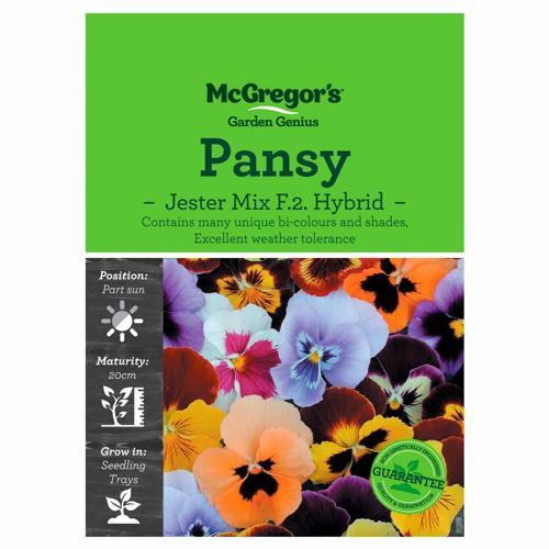 Jester Mix Pansy Seeds - McGregor's