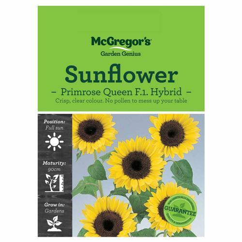 Primrose Queen Sunflower Seeds - McGregor's