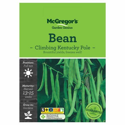 Kentucky Pole Bean Seeds - McGregor's