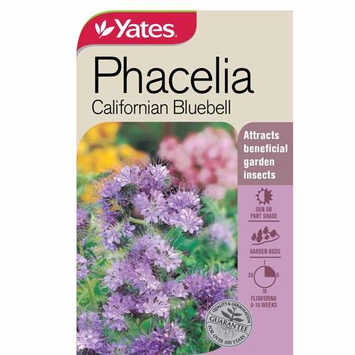Phacelia (Californian Bluebell) Seeds - Yates
