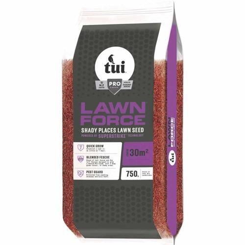 Lawn Force Superstrike Shady Places Lawn Seed 750g - Tui
