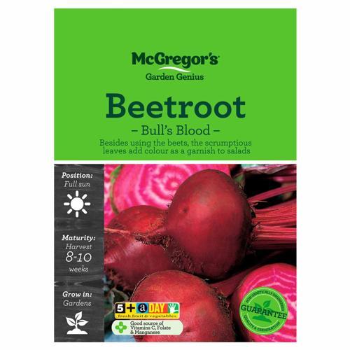 Bulls Blood Beetroot Seeds - McGregor's
