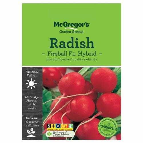 Fireball Radish Seeds - McGregor's
