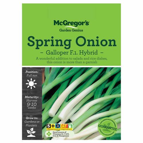 Galloper Spring Onion Seeds - McGregor's