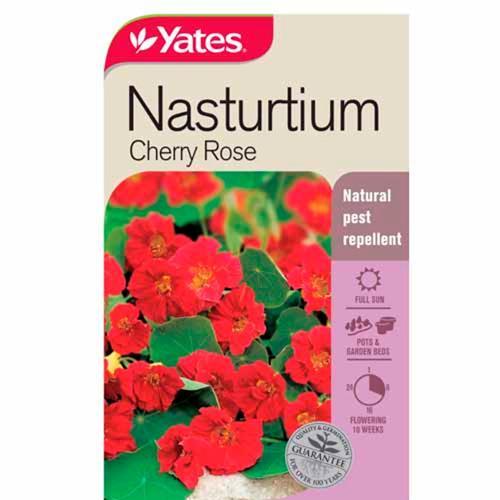 Nasturtium Cherry Rose Seeds - Yates