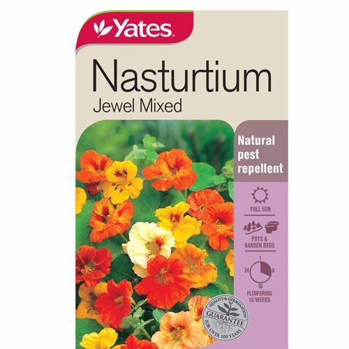 Nasturtium 'Jewel' Mixed Seeds - Yates