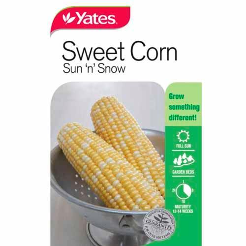 Sweetcorn Sun 'N' Snow Seeds - Yates