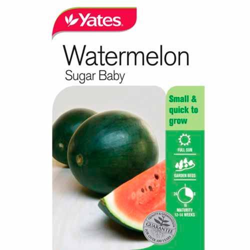 Watermelon Sugar Baby Seeds - Yates