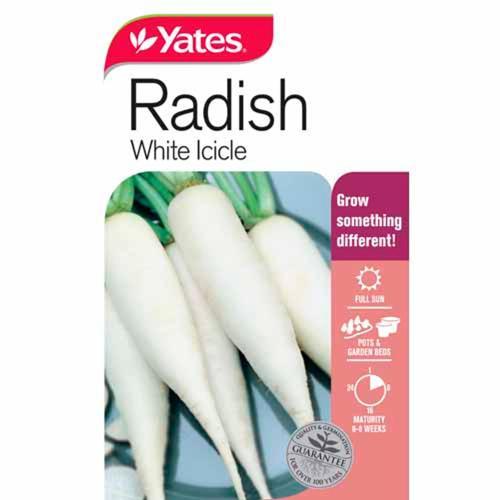Radish White Icicle Seeds - Yates