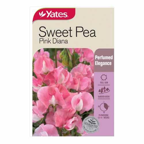Sweet Pea Pink Diana Seeds - Yates