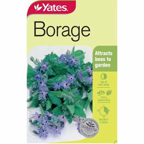 Borage Herb Seeds - Yates