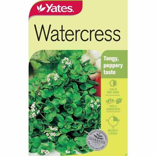 Water Cress Seeds - Yates