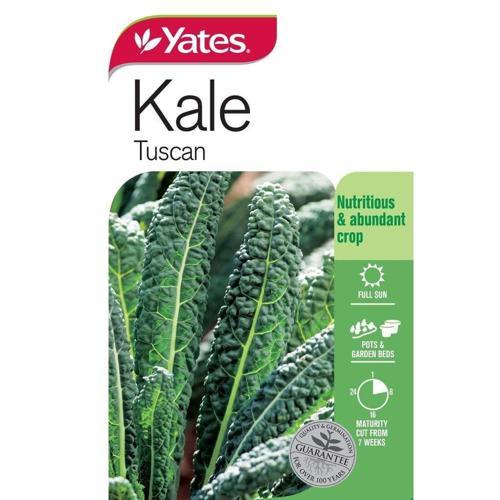 Kale 'Tuscan' Seeds - Yates