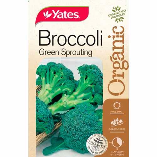 Organic Broccoli Green Sprouting Seed - Yates