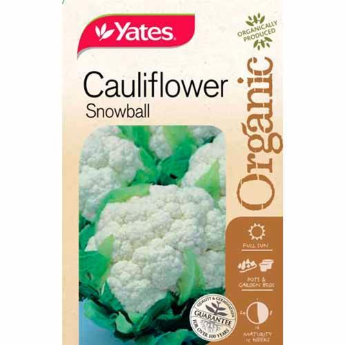 Organic Cauliflower Snowball Seeds - Yates