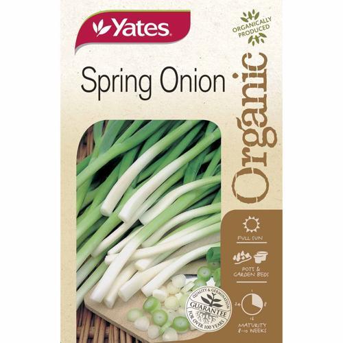 Organic Spring Onion Organic Seeds - Yates