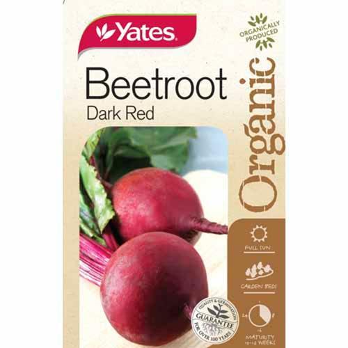 Beetroot Deep Red Organic Seeds - Yates