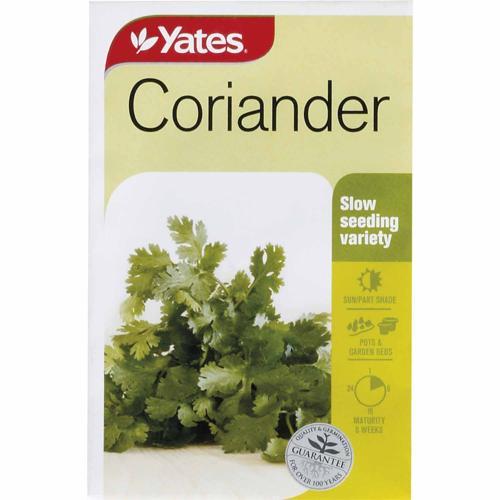 Coriander Seeds - Yates