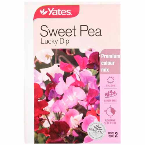 Sweet Pea Lucky Dip Seeds - Yates