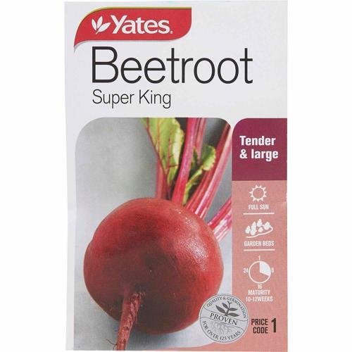 Beetroot Super King Seeds - Yates
