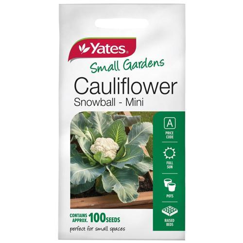 Yates Seeds Cauliflower Snowball Mini