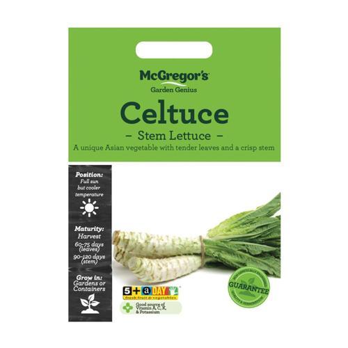McGregor's Celtuce Stem Lettuce Seeds