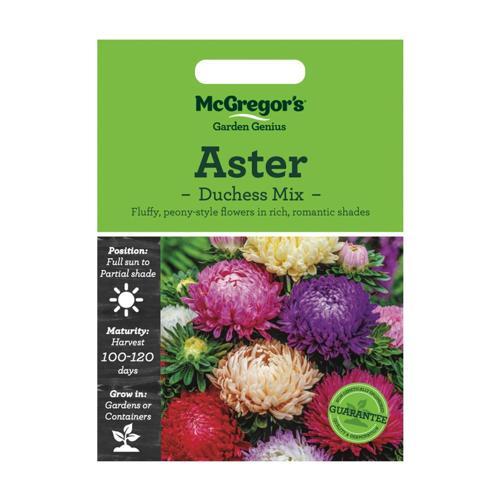 McGregor's Aster Duchess Mix Seeds