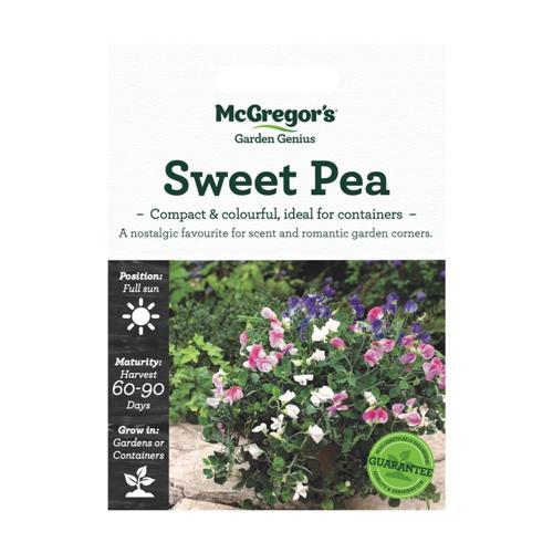 McGregor's Sweet Pea Potted Seeds