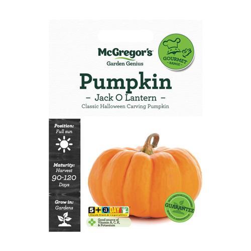McGregor's Pumpkin Jack O Lantern Seeds
