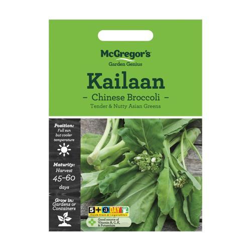 McGregor's Kailaan Chinese Broccoli Seeds