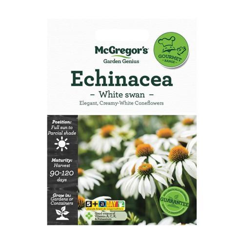 McGregor's Echinacea White Swan Seeds