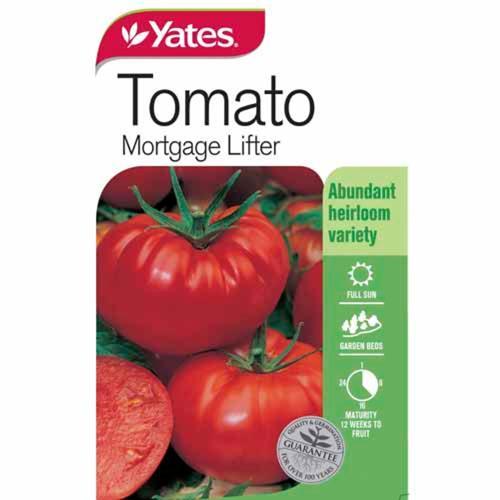 Tomato 'Mortgage Lifter' Seeds - Yates