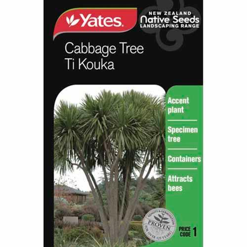 Cabbage Tree Ti Kouka Native Seeds - Yates