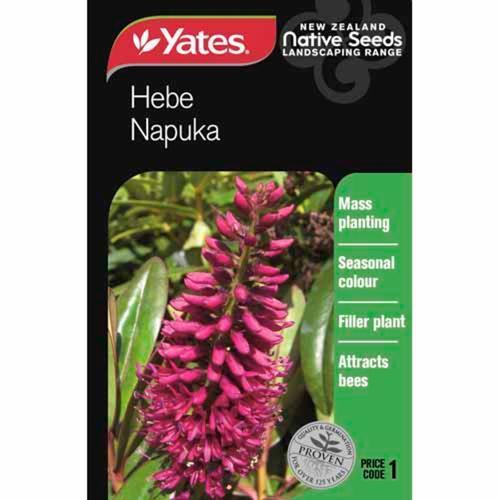 Hebe Napuka Native Seeds - Yates