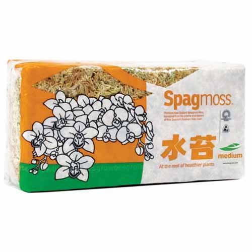 Besgrow Spagmoss Medium 215 x 190 X125mm