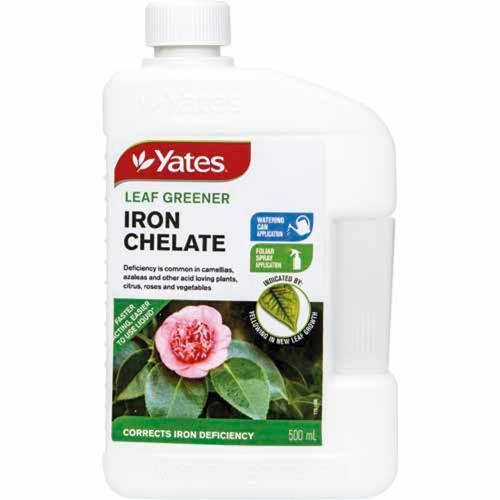 Plant Health Fertiliser Iron Chelate Liquid 500ml - Yates