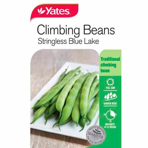 Bean 'Blue Lake' Climbing Seeds - Yates
