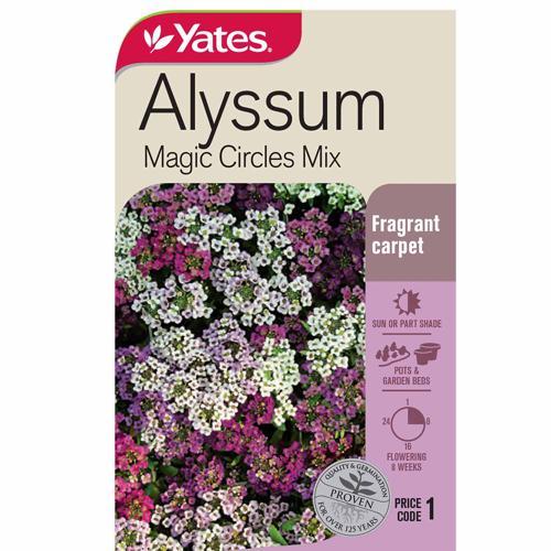 Alyssum 'Magic Circles' Seeds - Yates