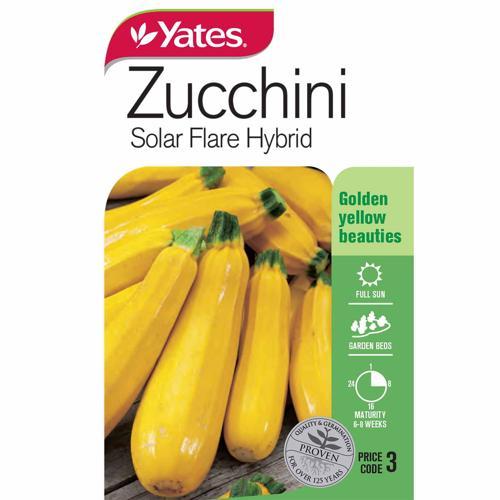 Zucchini Solar Flare Seeds - Yates