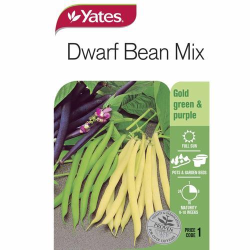 Dwarf Bean Mix Seed - Yates