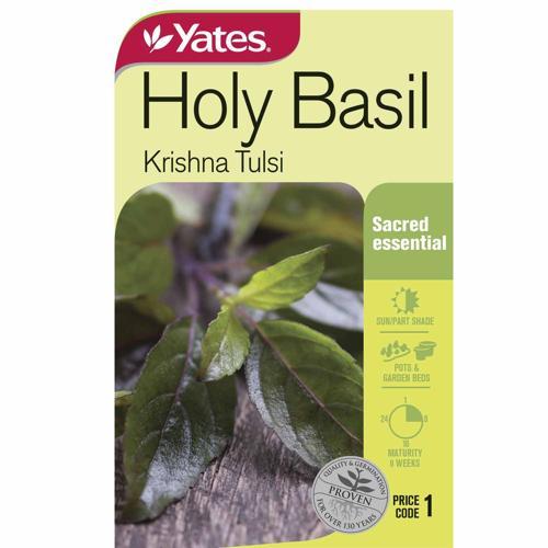 Holy Basil (Krishna Tulsi) Contains Approximately 250 Seeds. - Yates