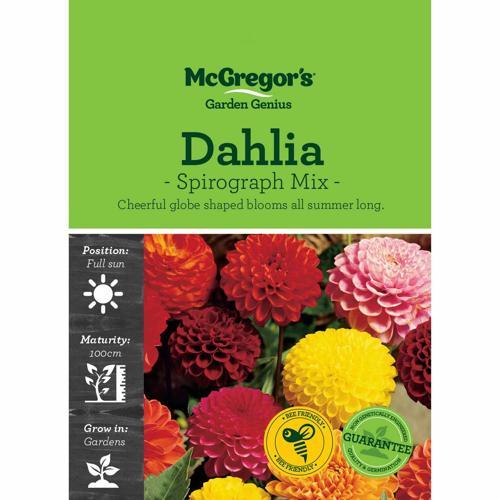 McGregor's Dahlia Spirograph Mix Seeds