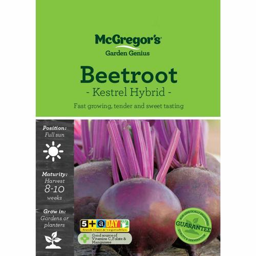 McGregor's Beetroot Kestrel Hybrid Seeds