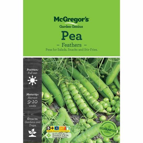 McGregor's Pea Feathers Seeds