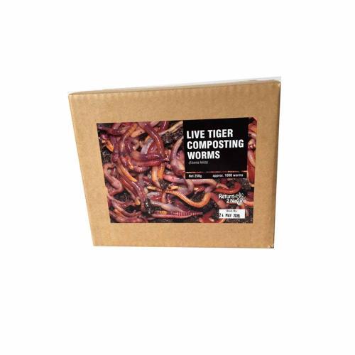 Return 2 Nature Compost Tiger Worms