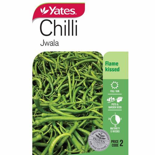 Chilli 'Jwala' Seeds - Yates