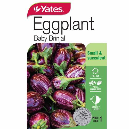 Eggplant 'Baby Brinjal' Seeds - Yates